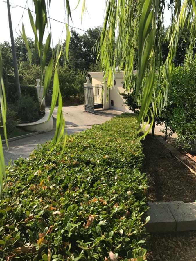 קזינו Villa Rosa מראה חיצוני תמונה